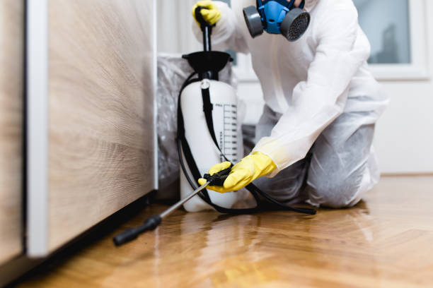 Best Local Pest Control Services  in North Amityville, NY
