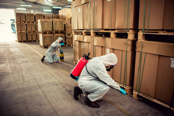 Best Wildlife Control Services  in North Amityville, NY