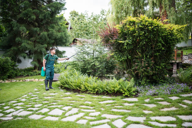Best Wasp Removal Services  in North Amityville, NY
