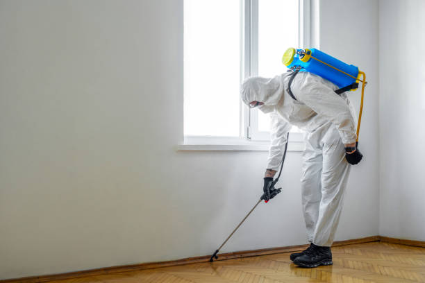 North Amityville, NY Pest Control Company