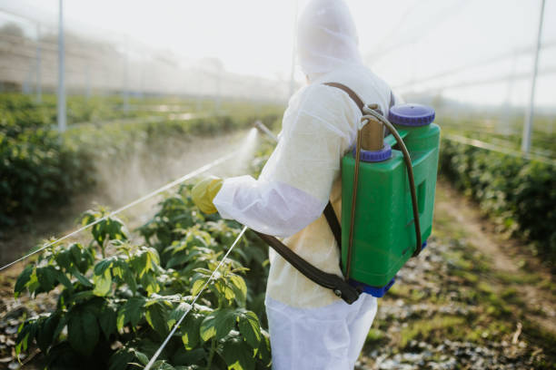 Best Residential Pest Control  in North Amityville, NY
